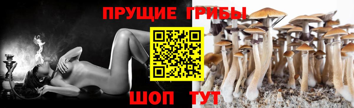 Псилоцибиновые грибы мицелий Кулебаки